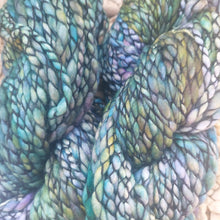 Load image into Gallery viewer, Malabrigo Caracol super Chunky 150g