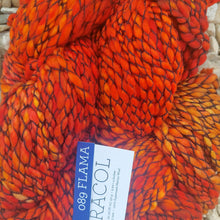 Load image into Gallery viewer, Malabrigo Caracol super Chunky 150g