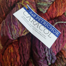 Load image into Gallery viewer, Malabrigo Caracol super Chunky 150g