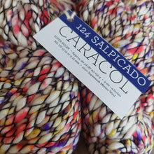 Load image into Gallery viewer, Malabrigo Caracol super Chunky 150g
