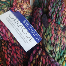 Load image into Gallery viewer, Malabrigo Caracol super Chunky 150g
