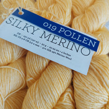 Load image into Gallery viewer, Malabrigo Silky Merino DK 50g