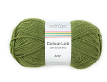 Load image into Gallery viewer, West Yorkshire Spinners ColourLab Aran