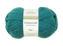 Load image into Gallery viewer, West Yorkshire Spinners ColourLab Aran