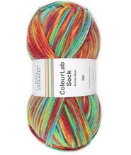 Load image into Gallery viewer, West Yorkshire Spinners Colour Lab DK sock 150g