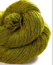 Load image into Gallery viewer, John Arbon Harvest Hues 4ply