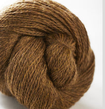 Load image into Gallery viewer, John Arbon Harvest Hues 4ply
