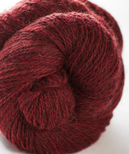 Load image into Gallery viewer, John Arbon Harvest Hues 4ply