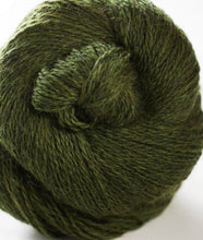 Load image into Gallery viewer, John Arbon Harvest Hues 4ply