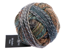 Load image into Gallery viewer, Schoppel Alb Zauber Extra DK