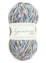 Load image into Gallery viewer, West Yorkshire spinners Country Birds Sock yarn
