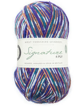 Load image into Gallery viewer, West Yorkshire spinners Country Birds Sock yarn