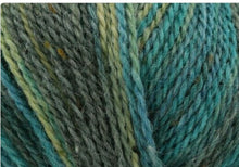 Load image into Gallery viewer, King Cole Homespun Prism Dk