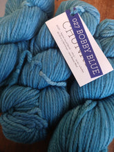 Load image into Gallery viewer, Malabrigo Chunky