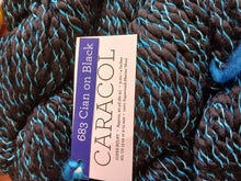 Load image into Gallery viewer, Malabrigo Caracol super Chunky 150g