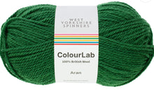 Load image into Gallery viewer, West Yorkshire Spinners ColourLab Aran