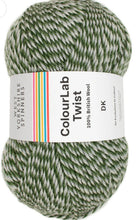 Load image into Gallery viewer, West Yorkshire spinners. Colour lab Dk