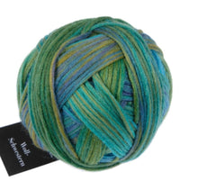 Load image into Gallery viewer, Schoppel- Wolle Wool Sisters DK 50g