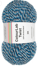 Load image into Gallery viewer, West Yorkshire spinners. Colour lab Dk
