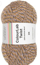 Load image into Gallery viewer, West Yorkshire spinners. Colour lab Dk
