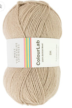 Load image into Gallery viewer, West Yorkshire spinners. Colour lab Dk