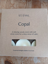 Load image into Gallery viewer, St Eval Tealights