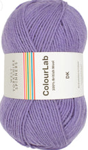 Load image into Gallery viewer, West Yorkshire spinners. Colour lab Dk
