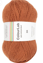 Load image into Gallery viewer, West Yorkshire spinners. Colour lab Dk