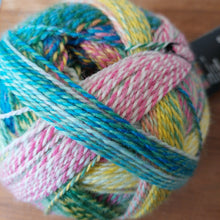 Load image into Gallery viewer, Zauberball 6ply Crazy