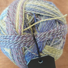 Load image into Gallery viewer, Zauberball 6ply Crazy