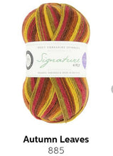Load image into Gallery viewer, West Yorkshire Spinners Winwick Mum sock yarn