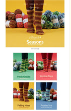 Load image into Gallery viewer, West Yorkshire Spinners Winwick Mum sock yarn