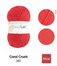 Load image into Gallery viewer, West Yorkshire spinners. Colour lab Dk