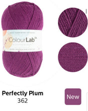 Load image into Gallery viewer, West Yorkshire spinners. Colour lab Dk