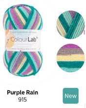 Load image into Gallery viewer, West Yorkshire spinners. Colour lab Dk