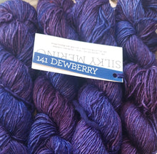 Load image into Gallery viewer, Malabrigo Silky Merino DK 50g