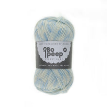 Load image into Gallery viewer, West Yorkshire spinners Bo Peep DK