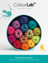 Load image into Gallery viewer, West Yorkshire spinners. Colour lab Dk