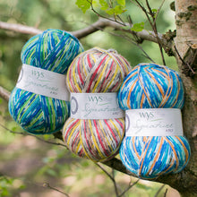 Load image into Gallery viewer, West Yorkshire spinners Country Birds Sock yarn