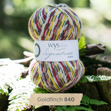 Load image into Gallery viewer, West Yorkshire spinners Country Birds Sock yarn
