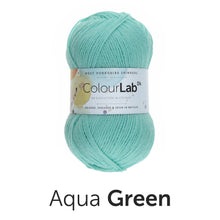 Load image into Gallery viewer, West Yorkshire spinners. Colour lab Dk