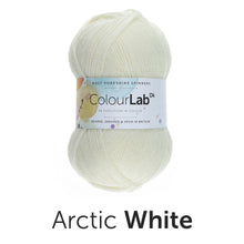 Load image into Gallery viewer, West Yorkshire spinners. Colour lab Dk