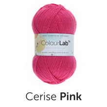 Load image into Gallery viewer, West Yorkshire spinners. Colour lab Dk