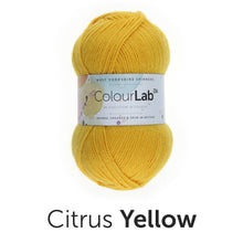 Load image into Gallery viewer, West Yorkshire spinners. Colour lab Dk