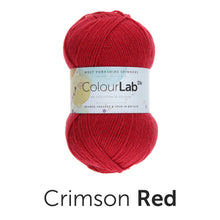 Load image into Gallery viewer, West Yorkshire spinners. Colour lab Dk