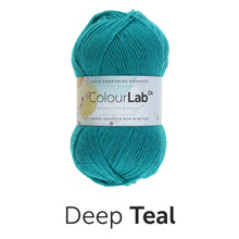 Load image into Gallery viewer, West Yorkshire spinners. Colour lab Dk