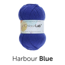 Load image into Gallery viewer, West Yorkshire spinners. Colour lab Dk