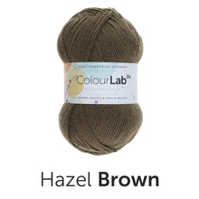 Load image into Gallery viewer, West Yorkshire spinners. Colour lab Dk