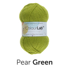 Load image into Gallery viewer, West Yorkshire spinners. Colour lab Dk