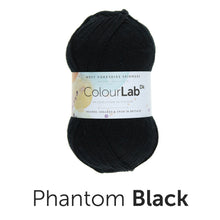 Load image into Gallery viewer, West Yorkshire spinners. Colour lab Dk